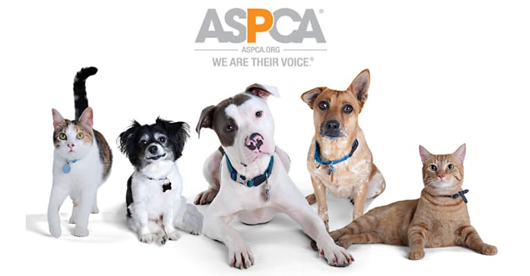 oil change near you estimate